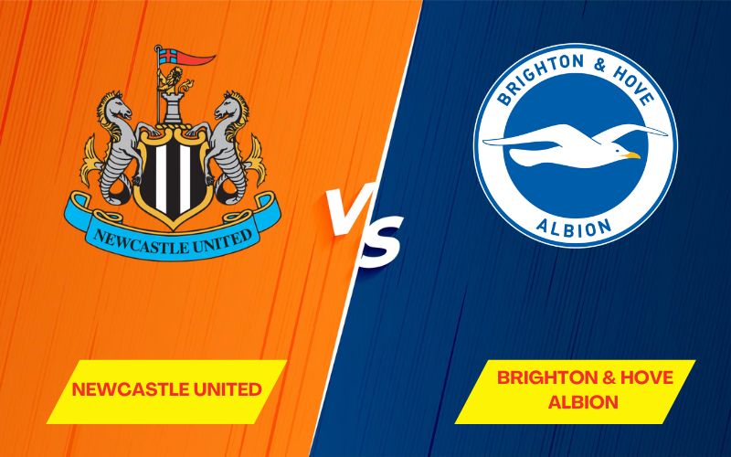 Lịch sử Newcastle đấu với Brighton tại Ngoại Hạng Anh