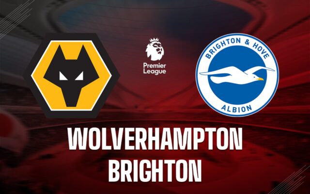 Dự đoán kèo cược phù hợp dành cho Wolves và Brighton