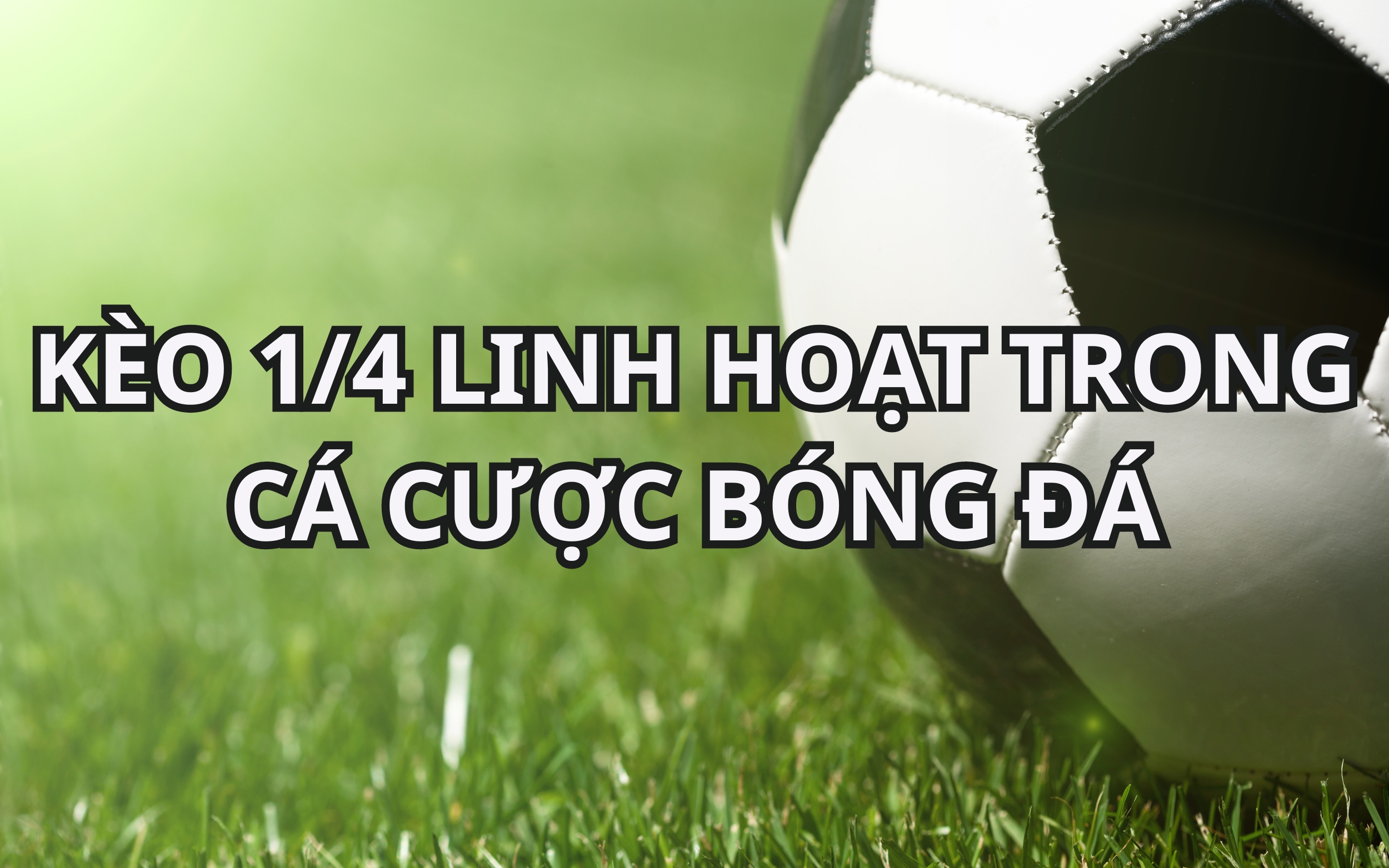 Kèo 1/4 trái linh hoạt trong đặt cược