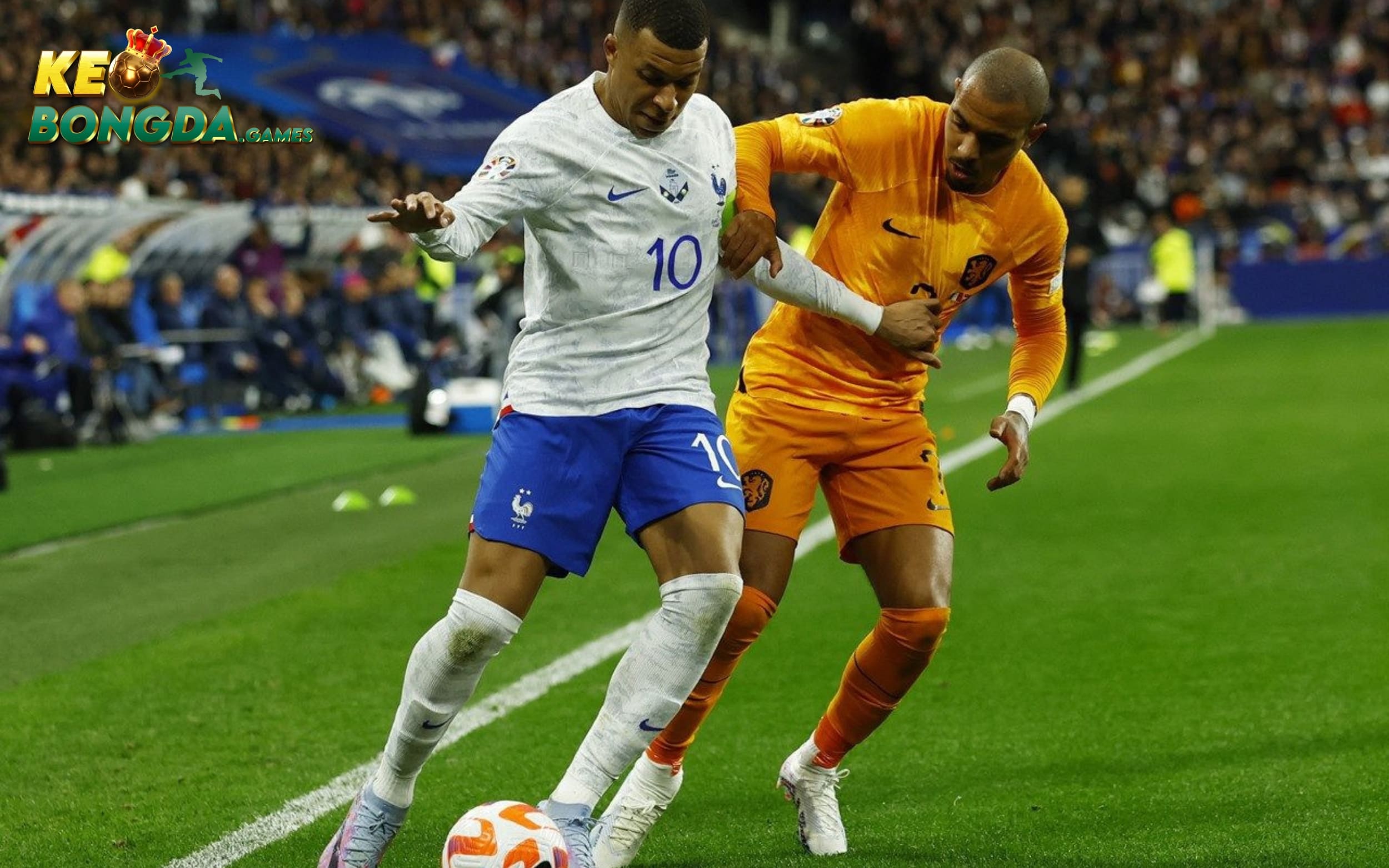 tình hình lực lượng của hà lan và pháp